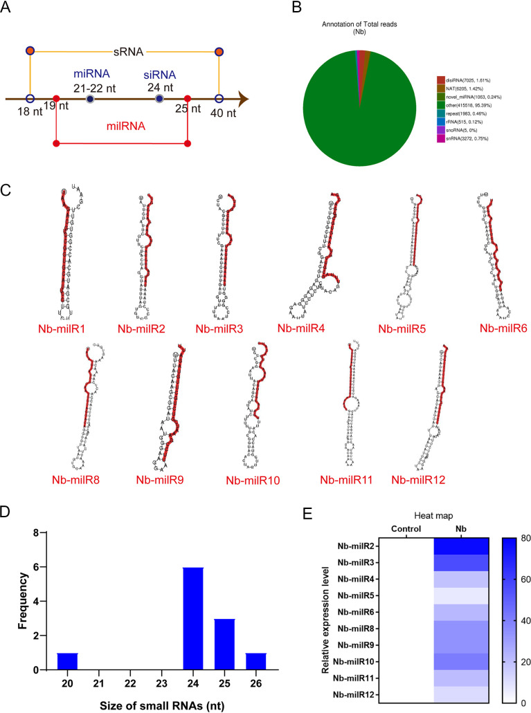 FIG 2