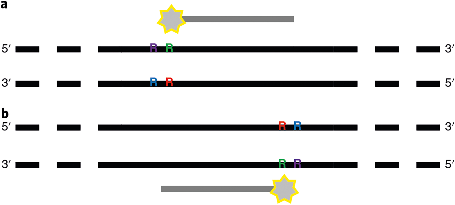 Fig. 2 |