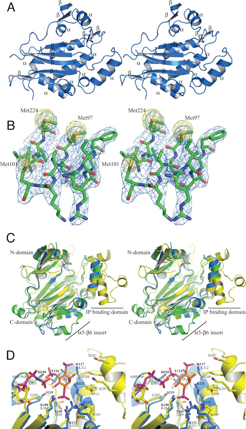 FIGURE 1.