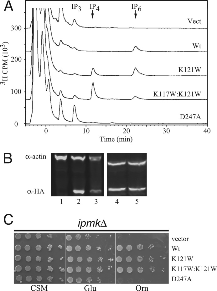 FIGURE 4.