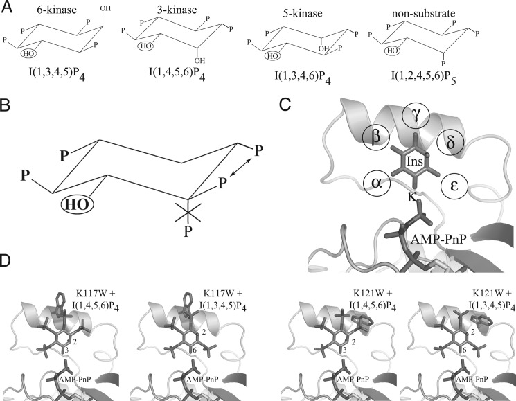 FIGURE 2.