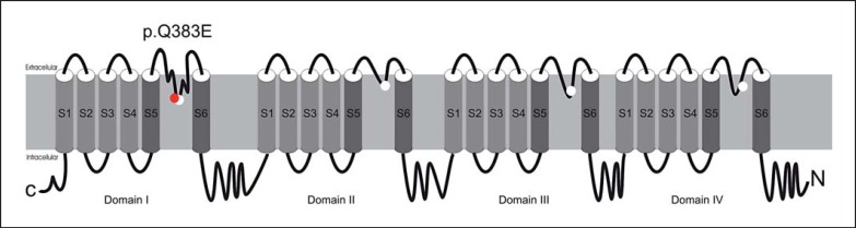 Fig. 1