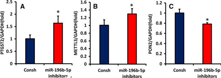 Fig. 7