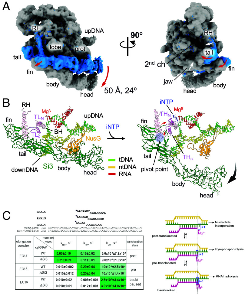 Fig. 4.