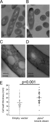 FIG 8