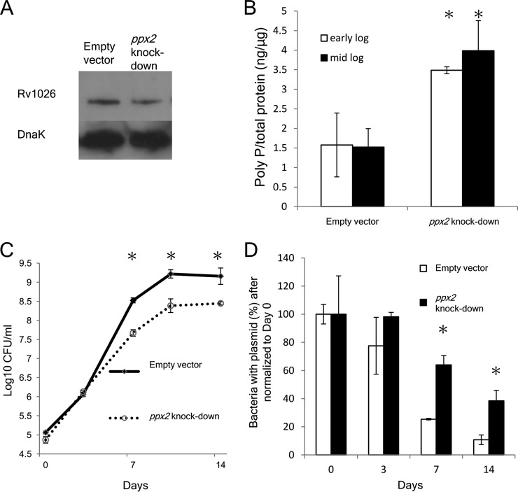 FIG 3 