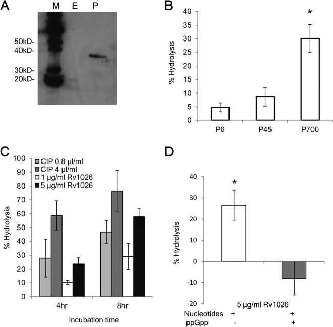 FIG 1 