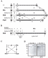 FIG. 2.