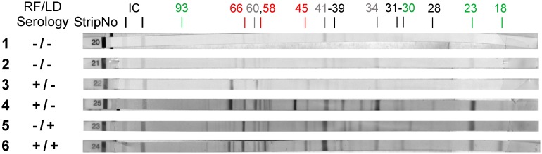 Fig 5