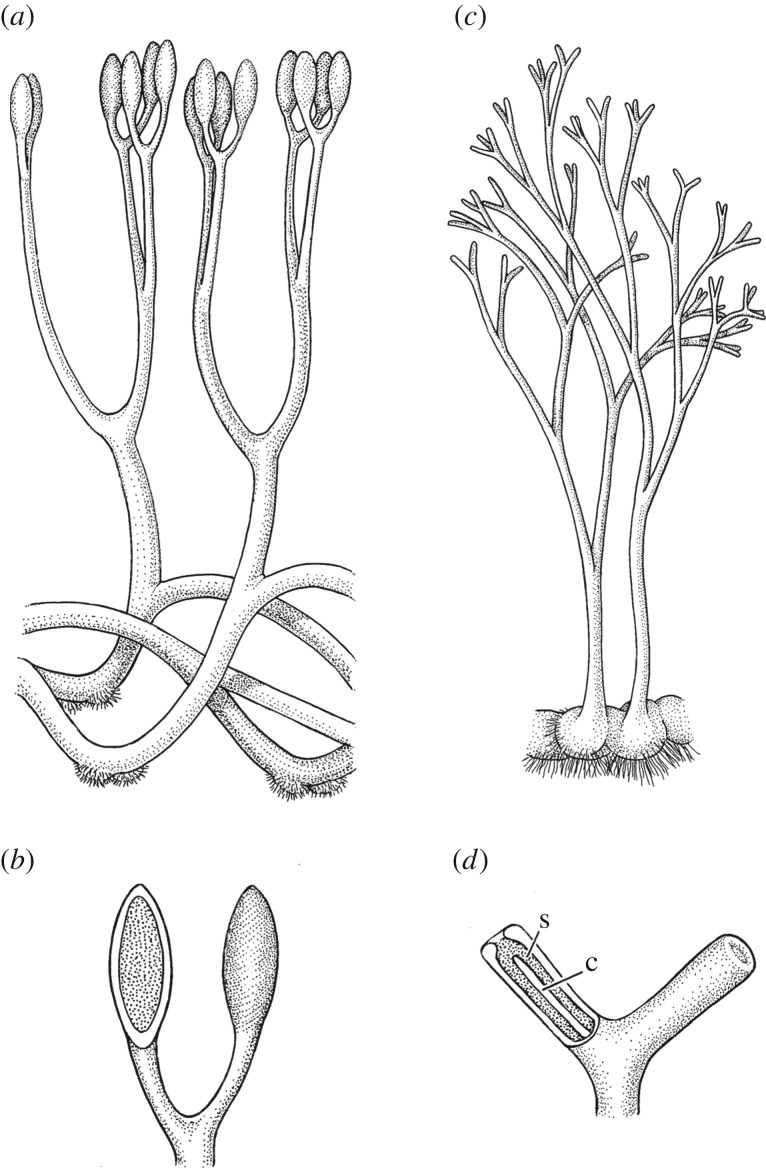 Figure 4.