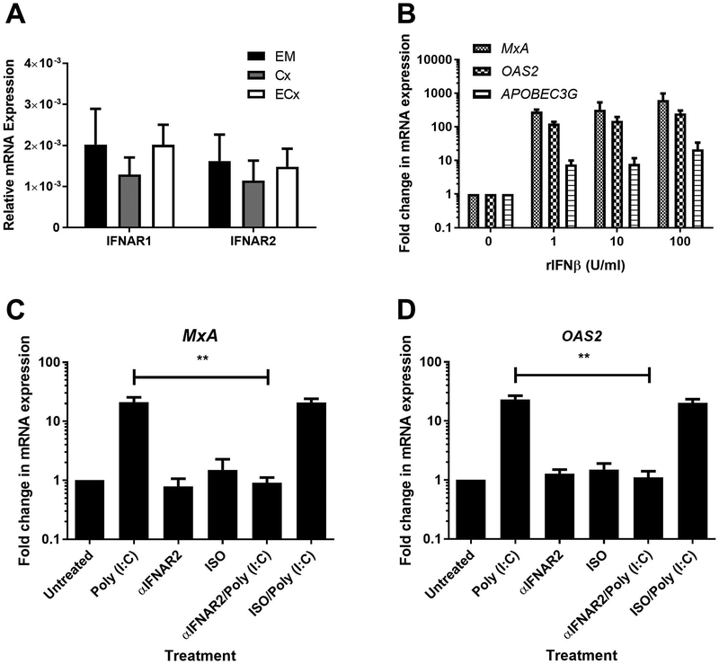 Figure 4: