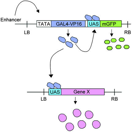 Figure 4.