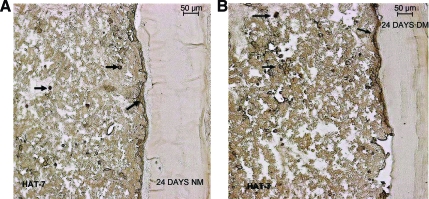 FIG. 10.