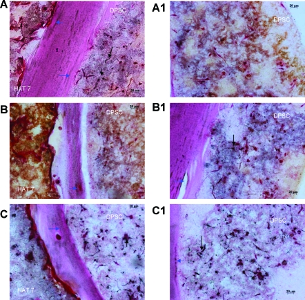 FIG. 6.