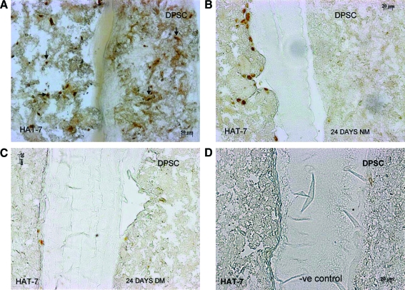 FIG. 7.