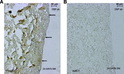 FIG. 9.