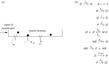 Figure 14.