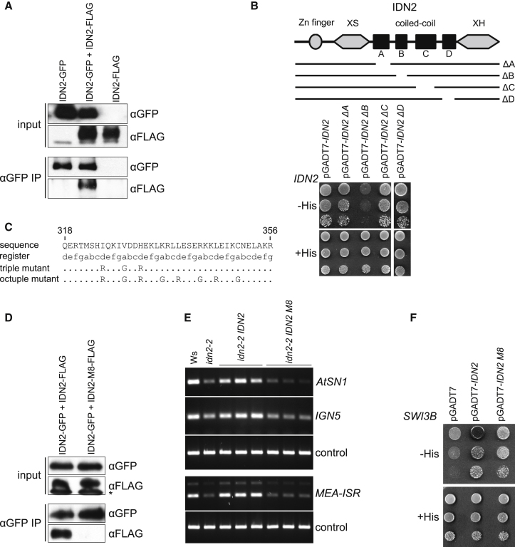 Figure 2