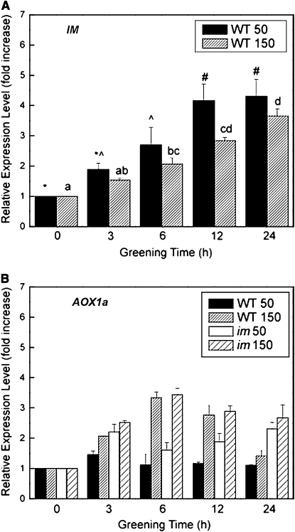 Figure 12.