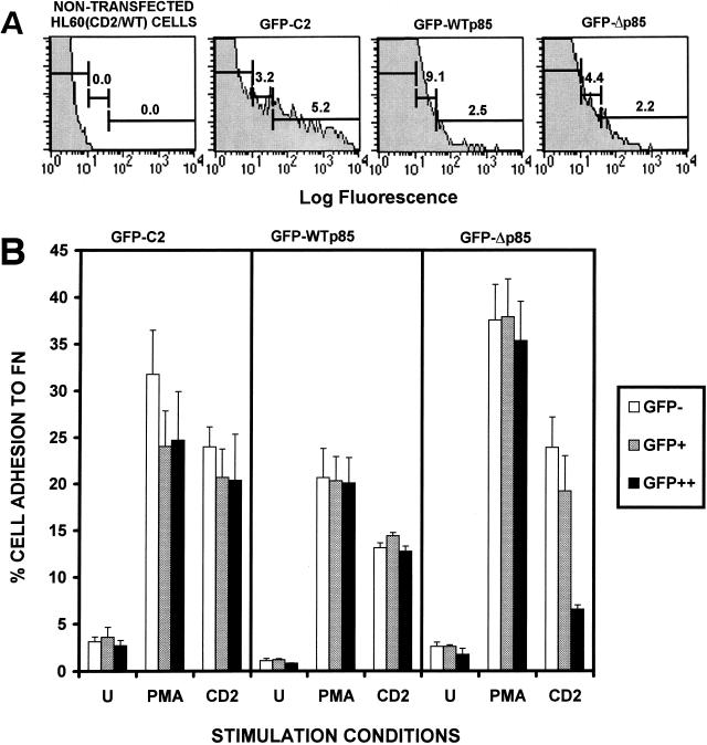 FIG. 7