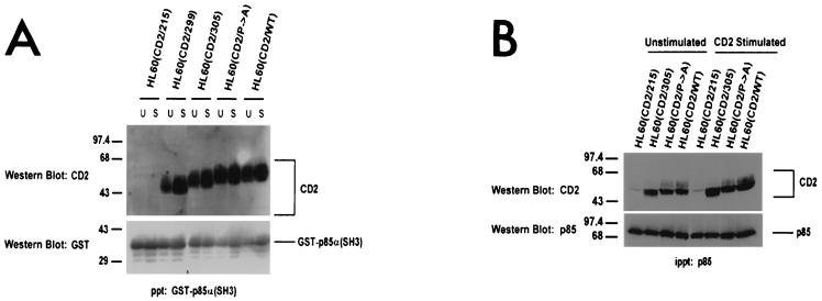 FIG. 9