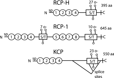 FIG. 2.