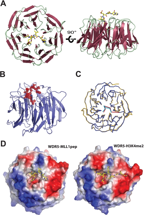 FIGURE 2.