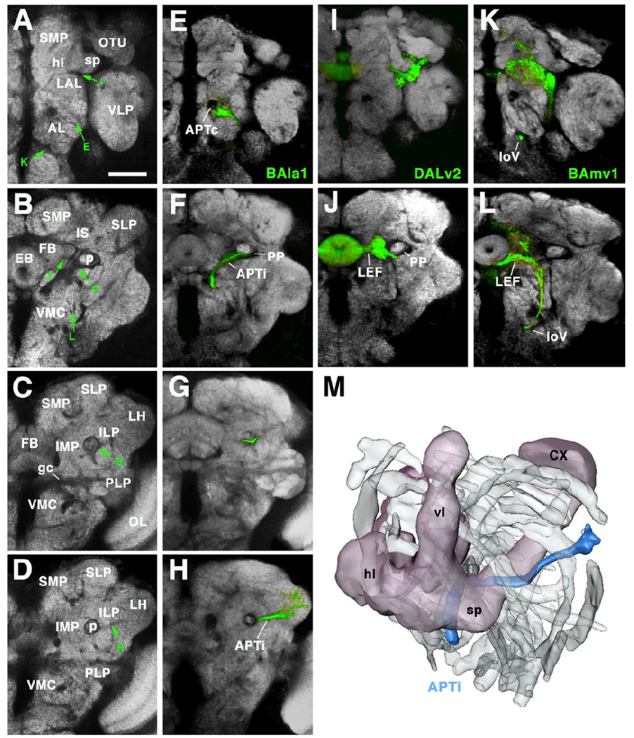 Fig.7