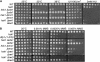 F<sc>igure</sc> 1.—