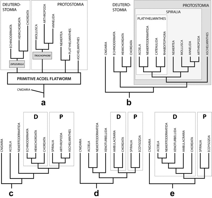 Fig. 8