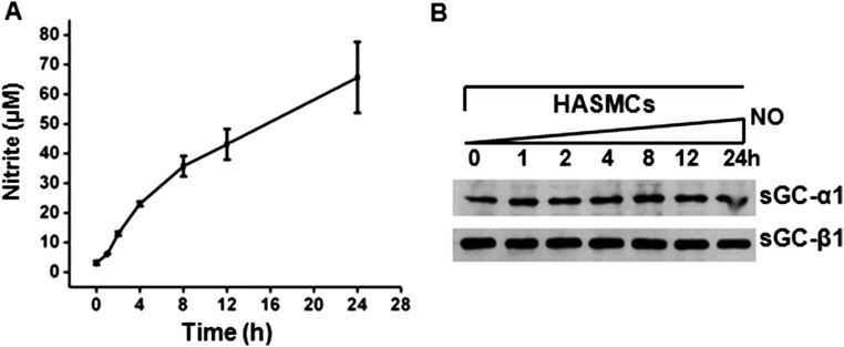 Fig. S5.