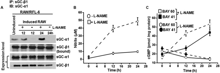 Fig. S7.