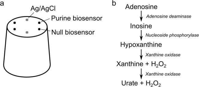 Fig. 2