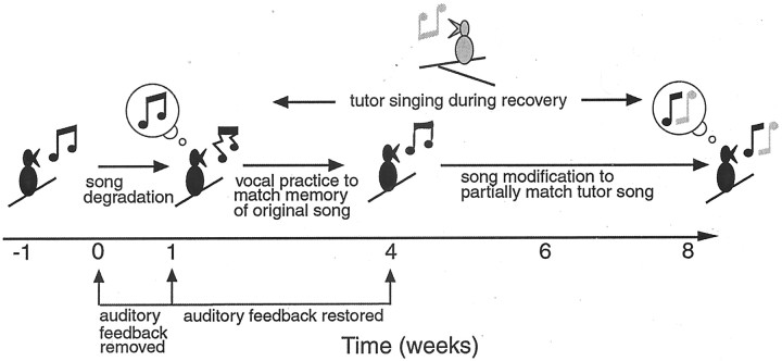 Fig. 10.