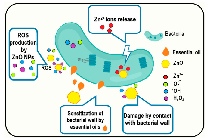 Figure 16