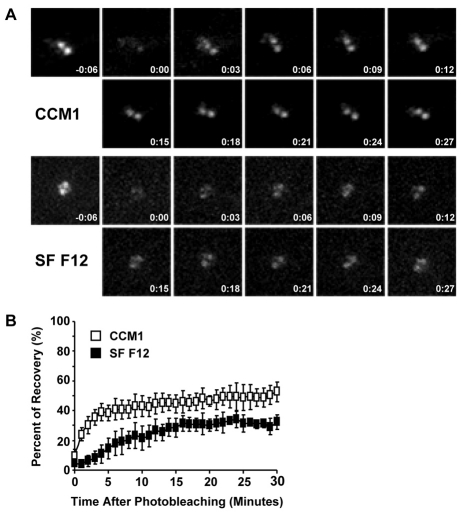 Fig. 8.