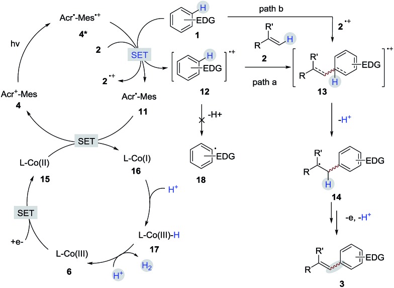 Scheme 9