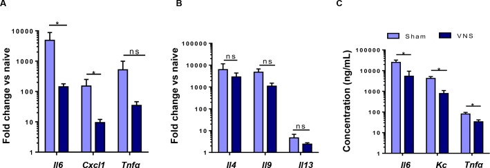 Fig 6