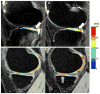 Fig. 9