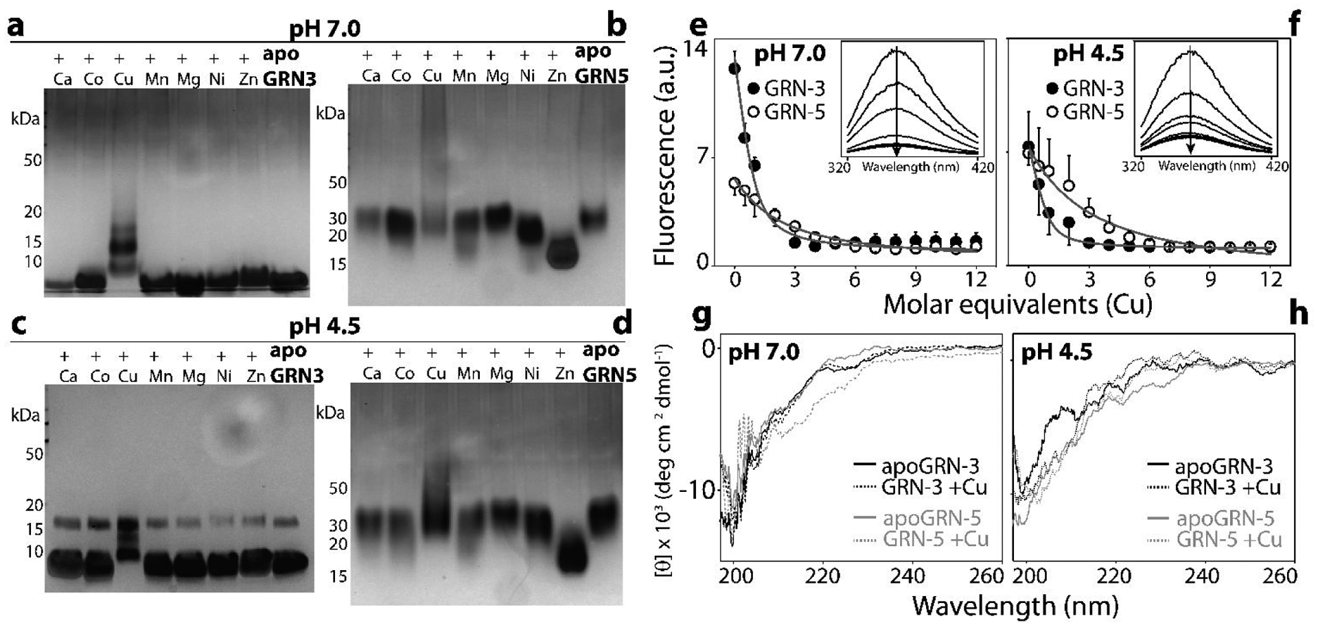 Figure 4: