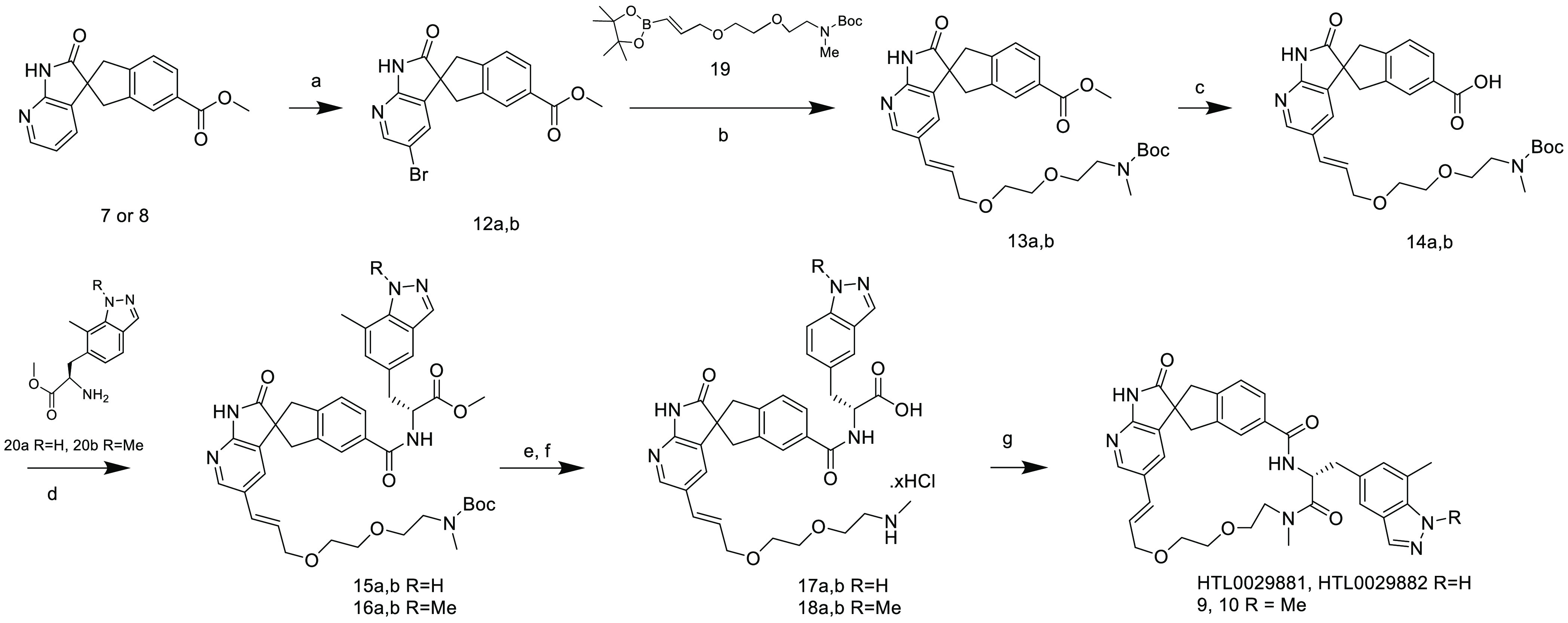 Scheme 1