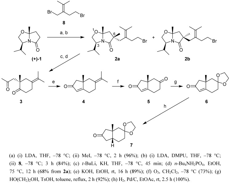 Scheme 1