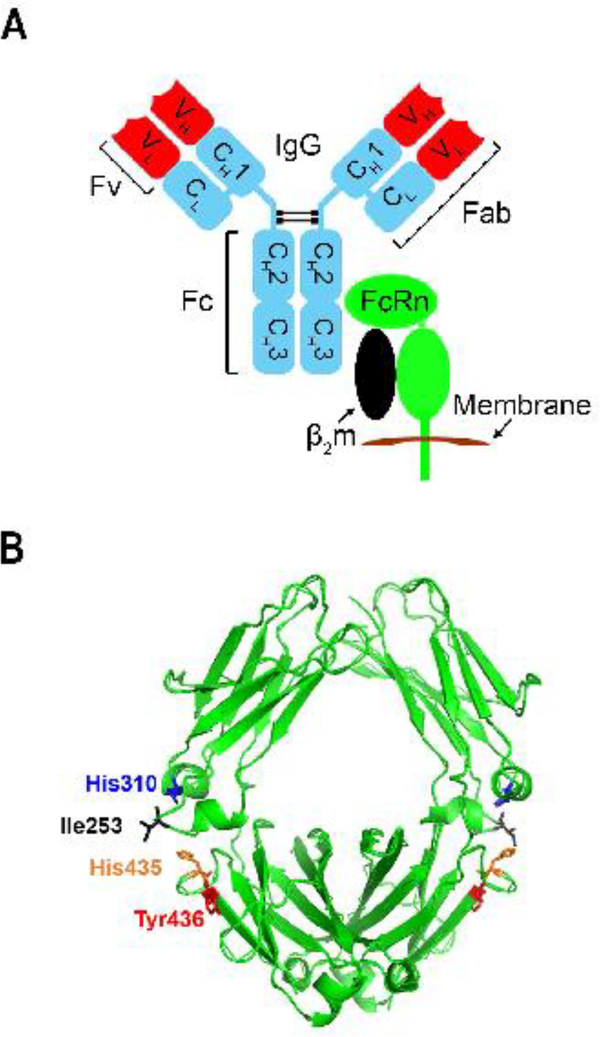 Figure 1.