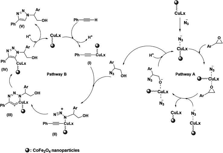 Scheme 5