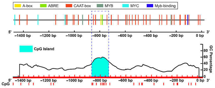 Figure 10