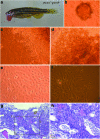 FIG. 6.