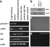 FIG. 7.
