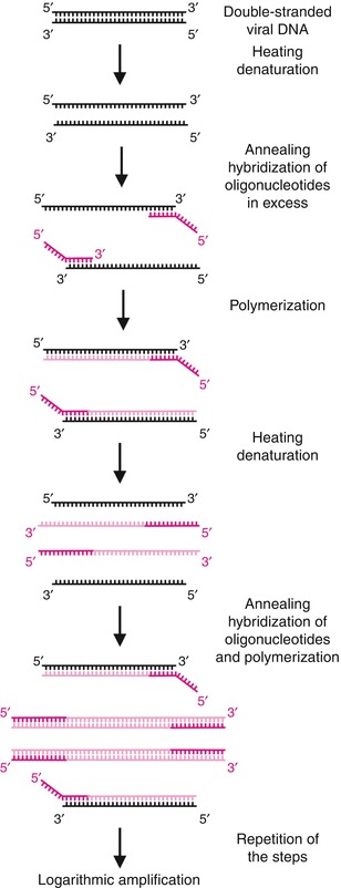 Fig. 13.6