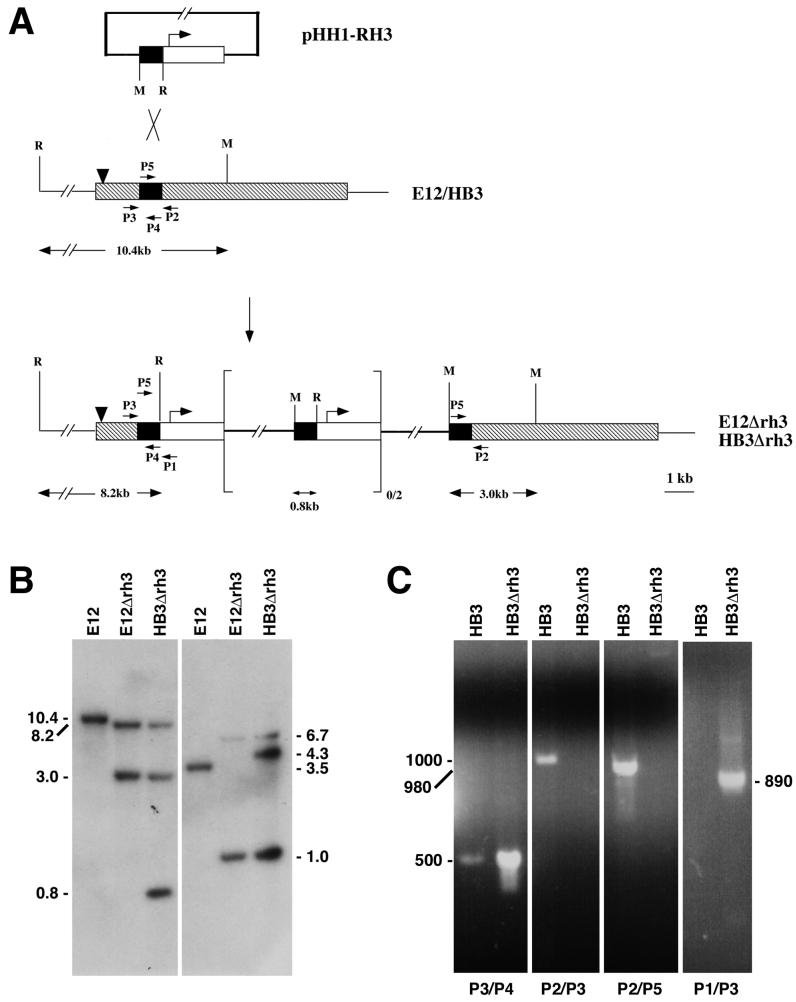 FIG. 4