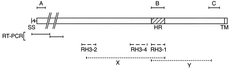 FIG. 1